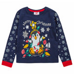 Girls Christmas Penguin Pyjama Set 